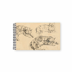 Sketch Book Delacroix - Three Studies of Lying Cats